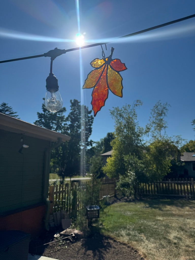 Maple Leaf - Autumn