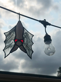 Bat
