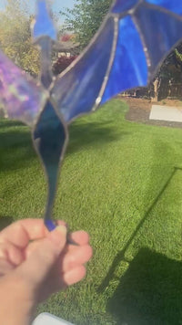 The blue Dragon in Flight turning in the sun so the wings catch the light