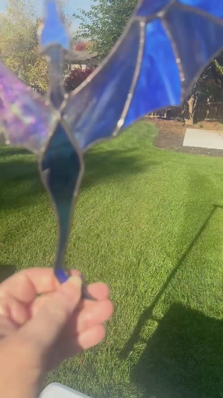 The blue Dragon in Flight turning in the sun so the wings catch the light